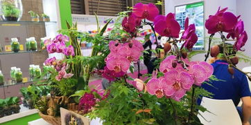 以优质产品促高质量发展 传化生物亮相第21届中国国际花卉园艺展览会